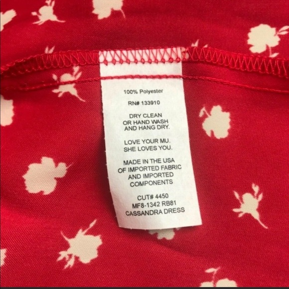 Show me your mumu mini dress - Picture 5 of 5